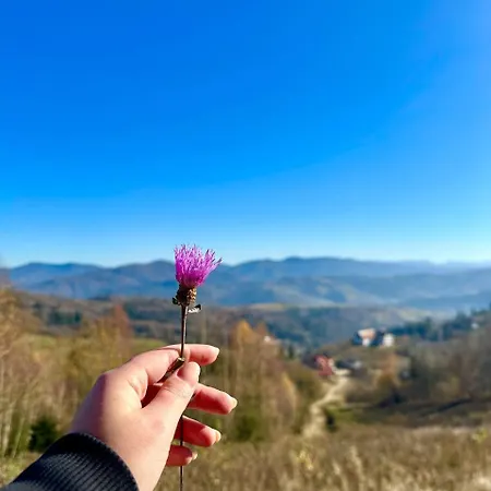 край неба 아파트