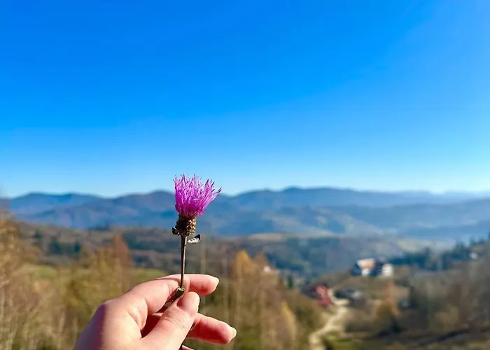 край неба Daire